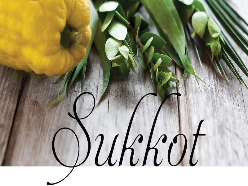 Celebrate Sukkot with Us